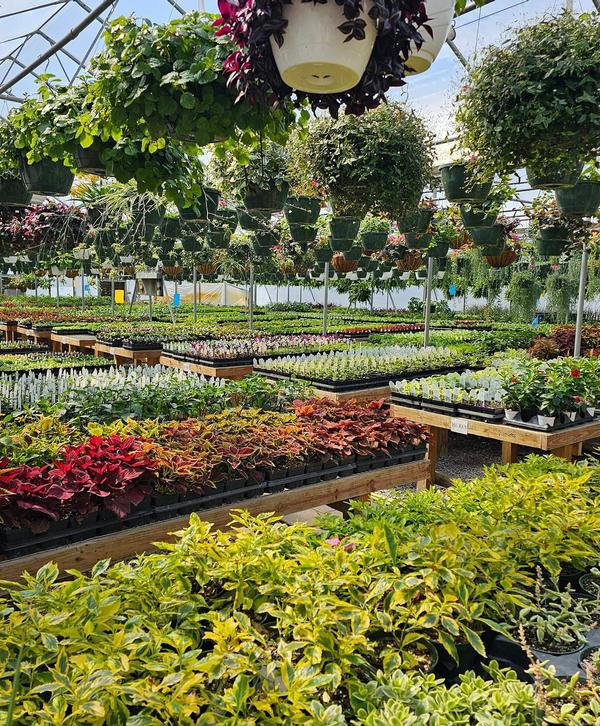 Wildwood Nursery at Lake Gaston Wildwood Nursery at Lake Gaston