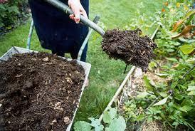 Six Soil Problems Solved by Adding Compost/Humus