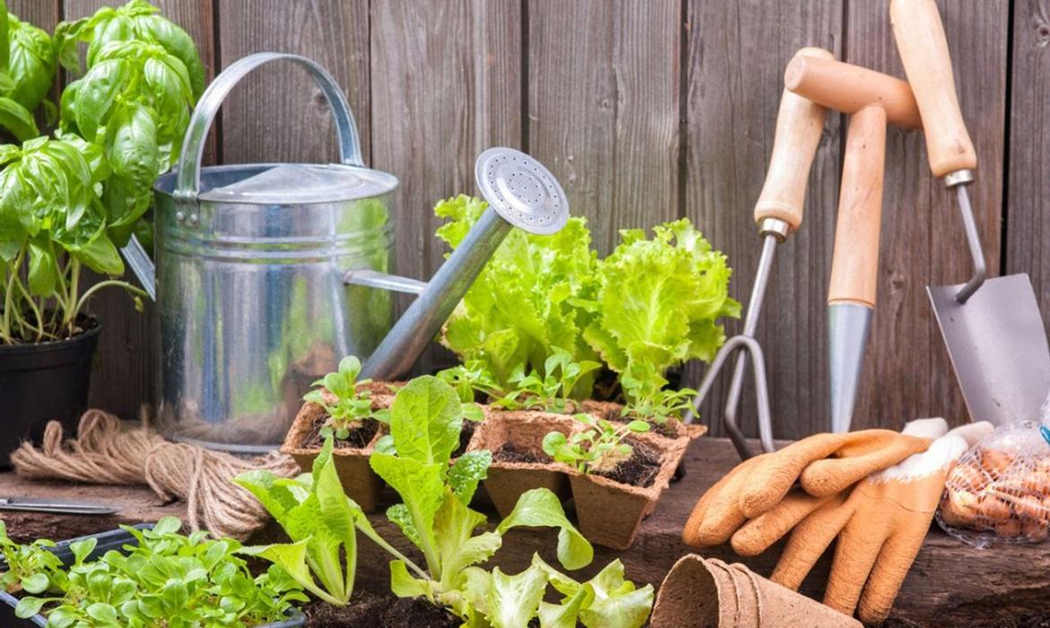 Garden Planning 101: What to Do in Winter for a Successful Growing Season