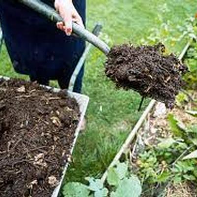 Six Soil Problems Solved by Adding Compost/Humus
