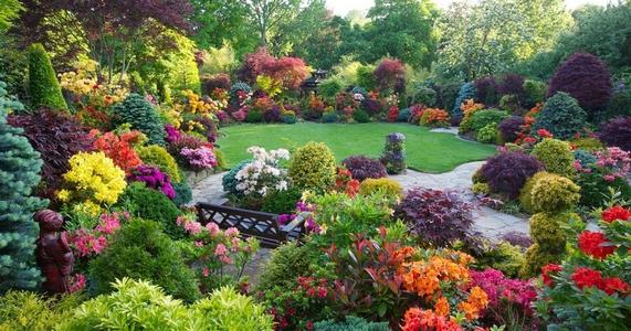 Annuals vs. Perennials: Which Should You Plant