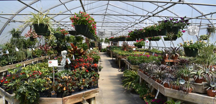 Locally Owned, Locally Grown!