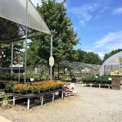Browse Plant Library