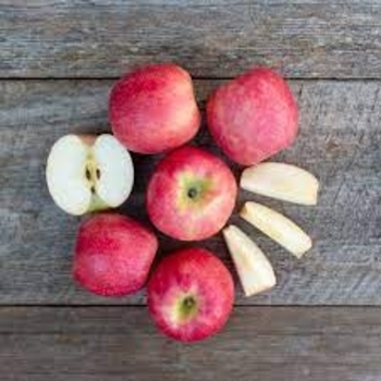 Malus domestica - 'Pink Lady®' Apple Malus domestica - 'Pink Lady®' Apple