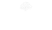 WNLKG Wildwood Nursery LKG